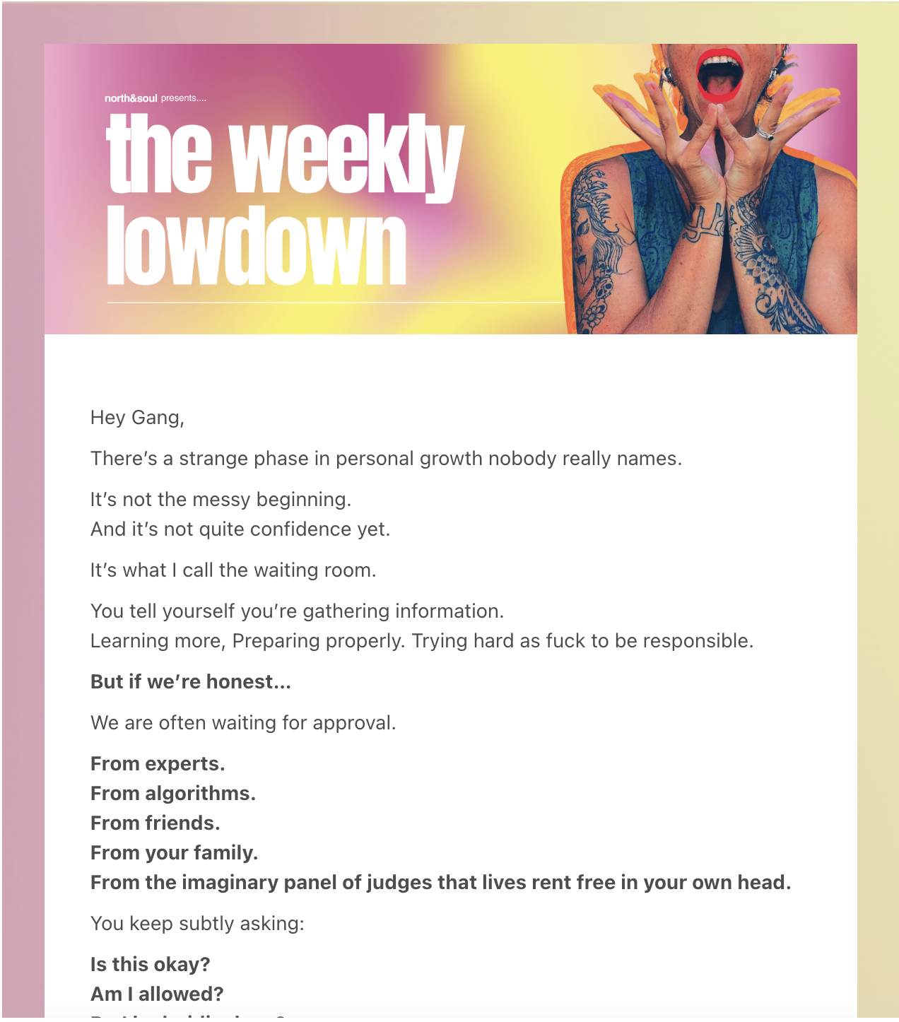 The Weekly Lowdown newsletter preview